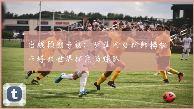 出线预测专访：听业内分析师揭秘卡塔尔世界杯黑马球队